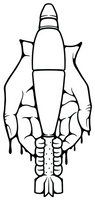 Hands Of God Sticker